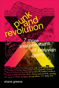 Punk and Revolution_cover