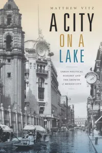A City on a Lake_cover