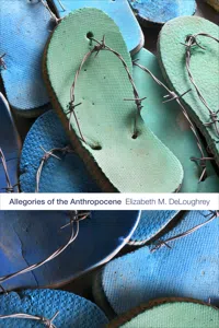 Allegories of the Anthropocene_cover