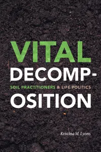 Vital Decomposition_cover