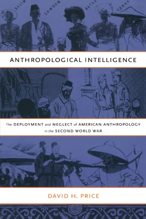 Anthropological Intelligence