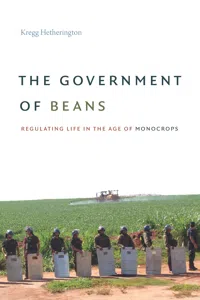 The Government of Beans_cover