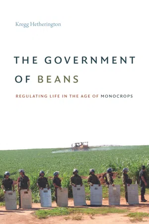 The Government of Beans