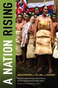 A Nation Rising_cover