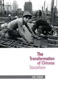 The Transformation of Chinese Socialism_cover