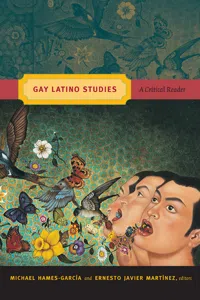 Gay Latino Studies_cover