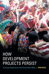 How Development Projects Persist_cover