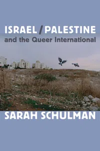 Israel/Palestine and the Queer International_cover