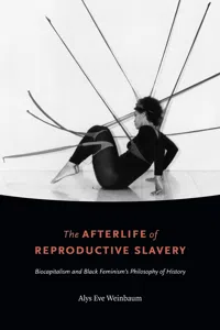 The Afterlife of Reproductive Slavery_cover