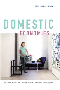 Domestic Economies_cover