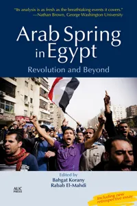 Arab Spring in Egypt_cover