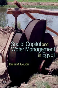 Social Capital and Local Water Management in Egypt_cover