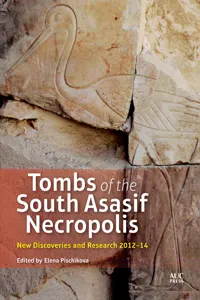 Tombs of the South Asasif Necropolis_cover