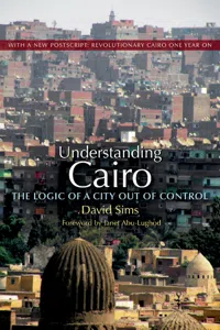 Understanding Cairo_cover
