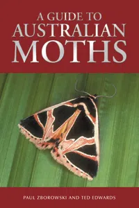 A Guide to Australian Moths_cover