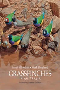 Grassfinches in Australia_cover
