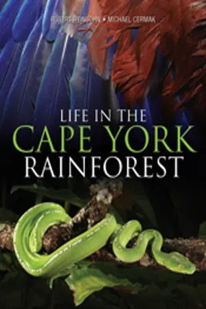 Life in the Cape York Rainforest