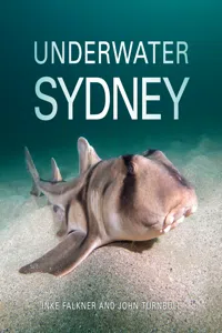 Underwater Sydney_cover