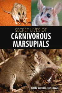 Secret Lives of Carnivorous Marsupials_cover