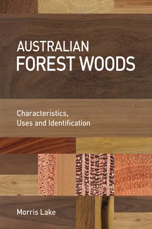 Australian Forest Woods