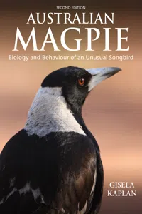 Australian Magpie_cover