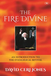 The Fire Divine_cover