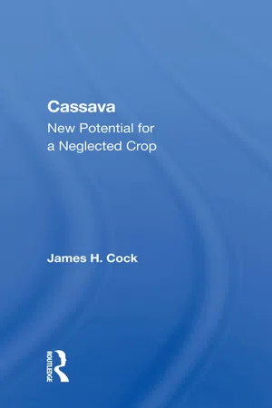 Cassava