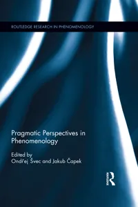 Pragmatic Perspectives in Phenomenology_cover