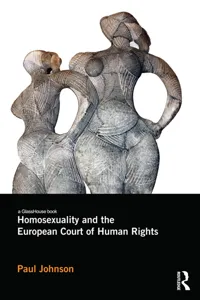 Homosexuality and the European Court of Human Rights_cover