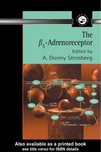 β3 Adrenoreceptor_cover