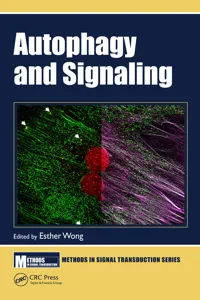 Autophagy and Signaling_cover