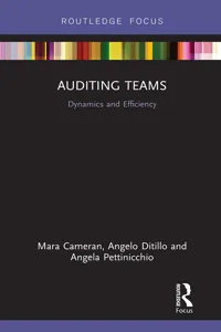 Auditing Teams_cover