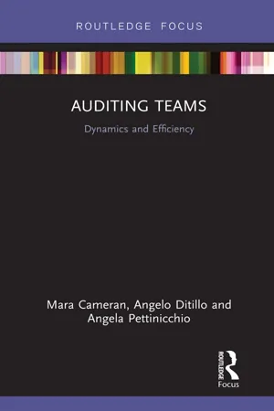 Auditing Teams
