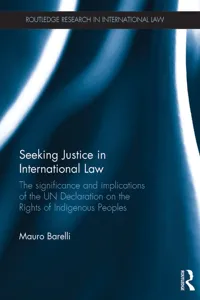 Seeking Justice in International Law_cover