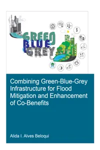 Combining Green-Blue-Grey Infrastructure for Flood Mitigation and Enhancement of Co-Benfits_cover