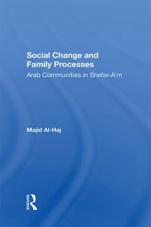 Social Change And Family Processes