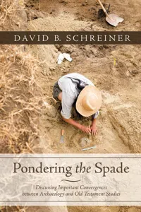 Pondering the Spade_cover
