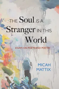 The Soul Is a Stranger in This World_cover