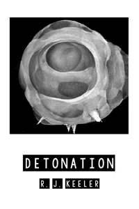 Detonation_cover