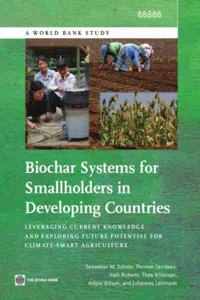 Biochar Systems for Smallholders in Developing Countries_cover