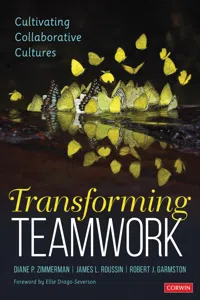 Transforming Teamwork_cover
