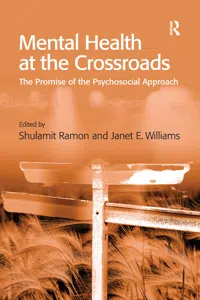 Mental Health at the Crossroads_cover