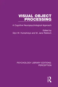 Visual Object Processing_cover