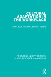 Cultural Adaptation in the Workplace_cover