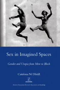 Sex in Imagined Spaces_cover