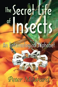 The Secret Life of Insects_cover