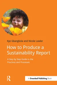 Gold Standard Sustainability Reporting_cover