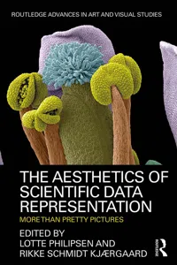 The Aesthetics of Scientific Data Representation_cover