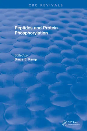 Peptides and Protein Phosphorylation