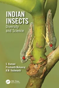 Indian Insects_cover